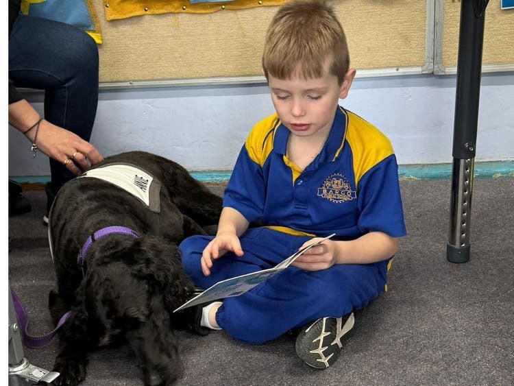 student reading to a puppy